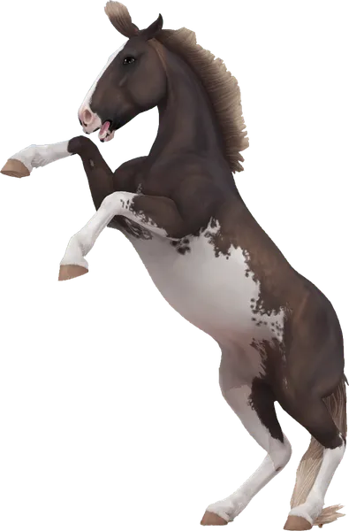 Mustang, Silver Bay Sabino