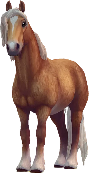 North Swedish Horse, Flaxen Chestnut