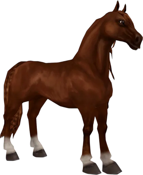 Andalusian, Chestnut