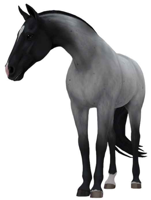 Tennessee Walking Horse in Star Stable Online
