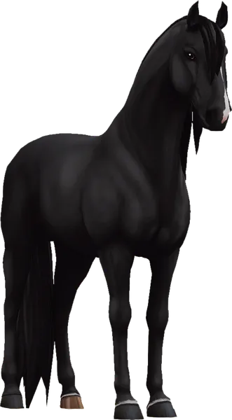 Lusitano, Black