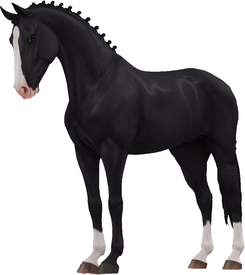 Selle Francais in Star Stable Online