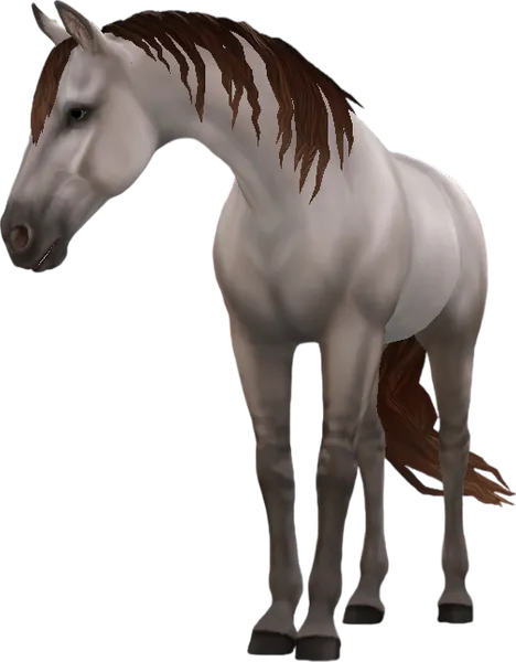 Tennessee Walking Horse, Classic Champagne Grulla