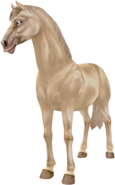 Akhal Teke, Cremello