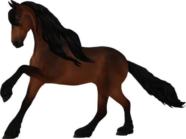 Friesian Sport Horse, Mahogany Bay