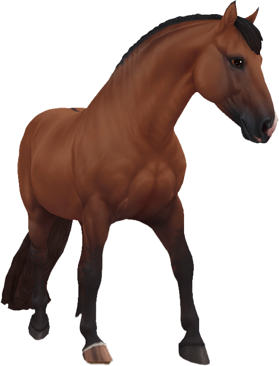 Criollo in Star Stable Online
