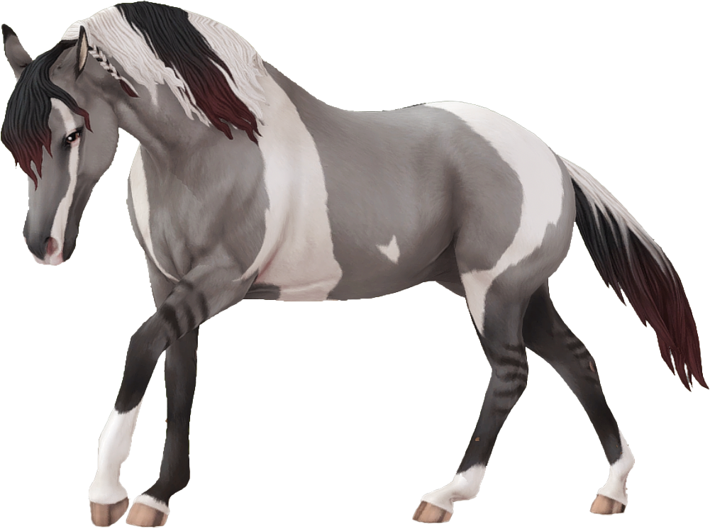 American Paint Horse in Star Stable Online