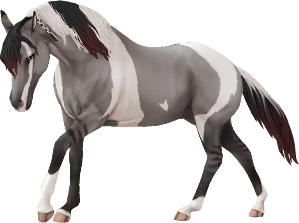 American Paint Horse, Grullo Tobiano