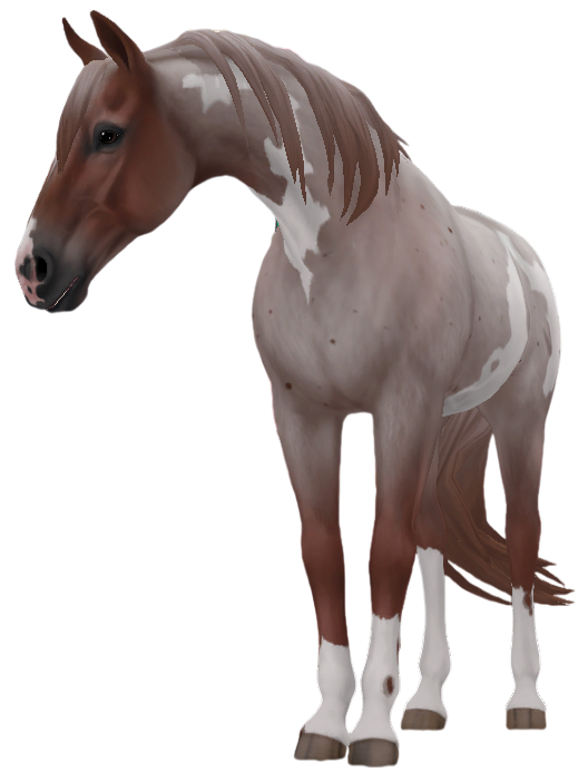 Tennessee Walking Horse in Star Stable Online