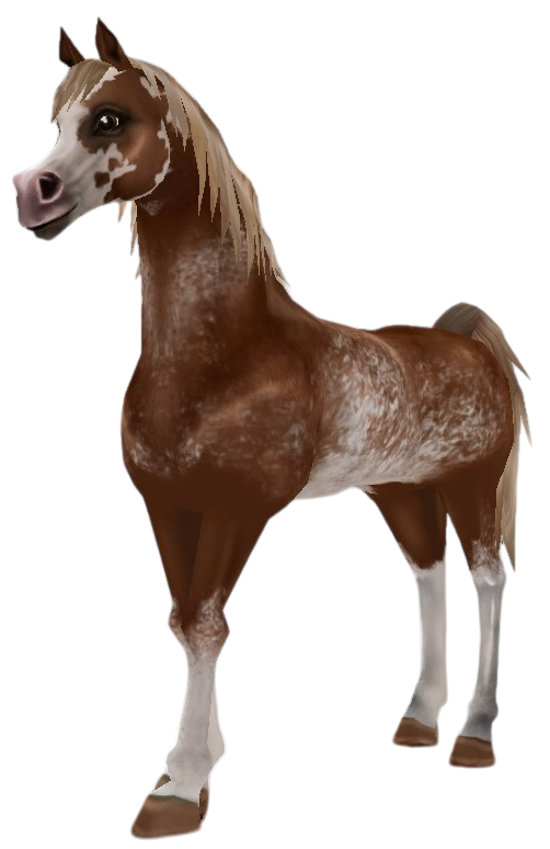 Arabian Thoroughbred in Star Stable Online
