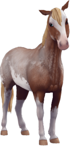 Chincoteague Pony in Star Stable Online