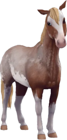 Chincoteague Pony, Flaxen Roan Sabino