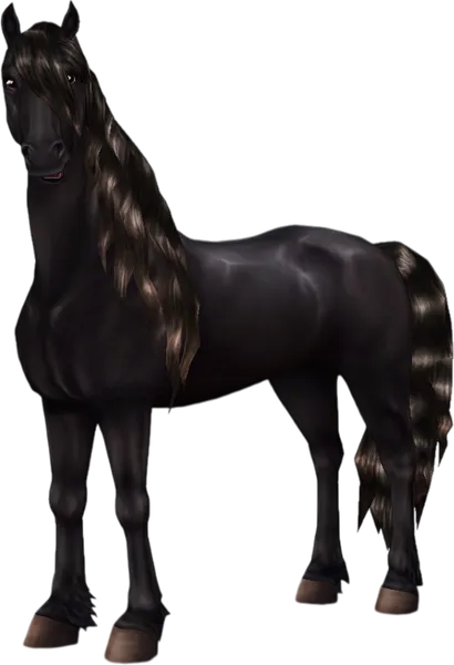 Friesian, Sun Bleached Black