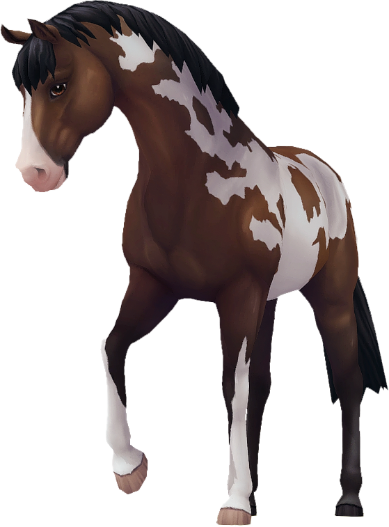 Jorvik Warmblood in Star Stable Online
