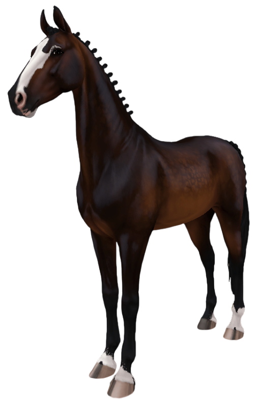 American Saddlebred in Star Stable Online
