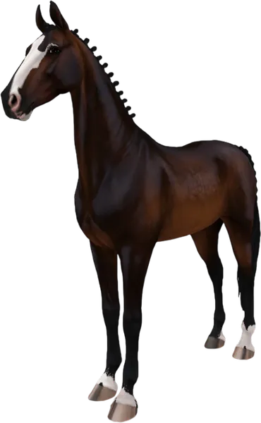 American Saddlebred, Sooty Bay