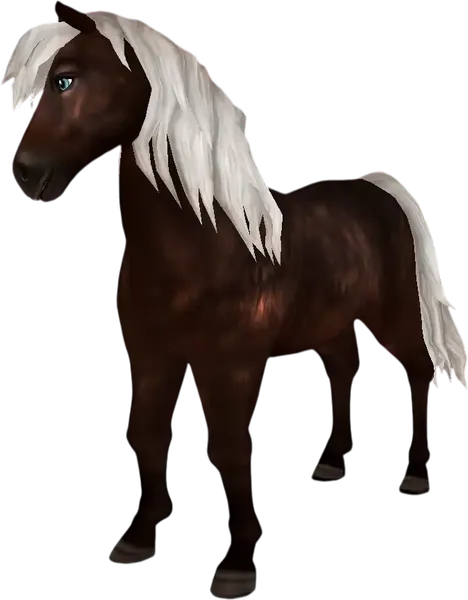 Icelandic Horse, Silver Bay