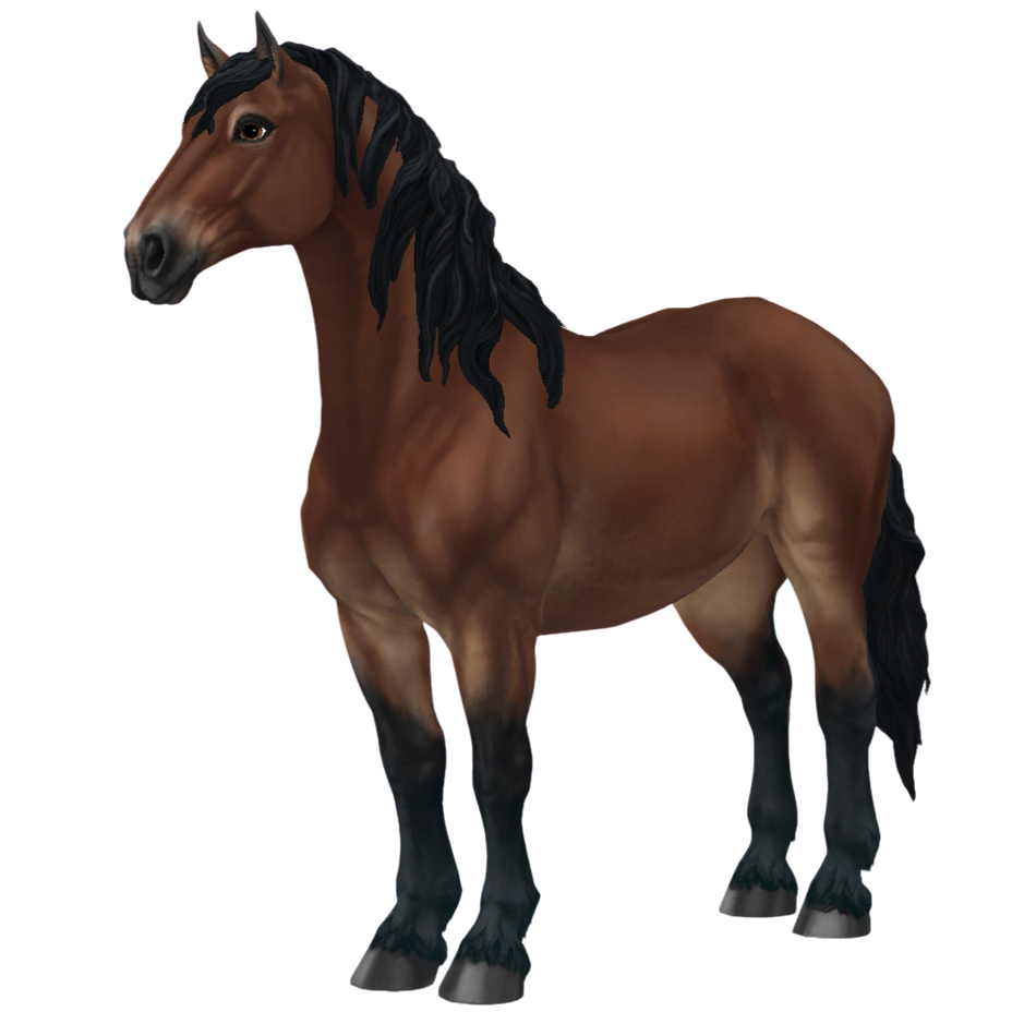 Percheron in Star Stable Online