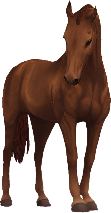 Belgian Warmblood in Star Stable Online