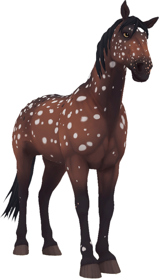Knabstrupper in Star Stable Online