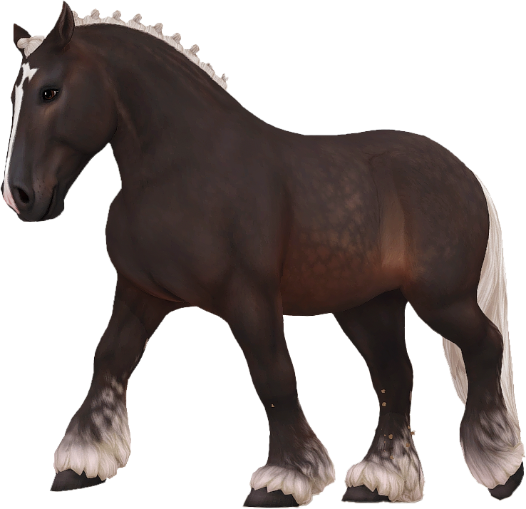 Ardennes in Star Stable Online