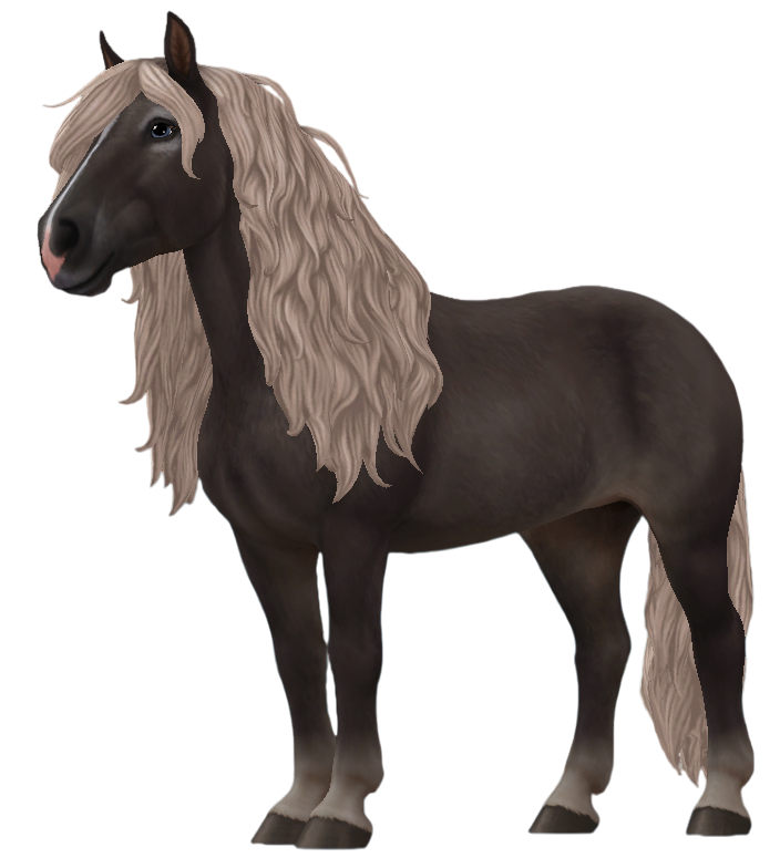 Black Forest Horse in Star Stable Online