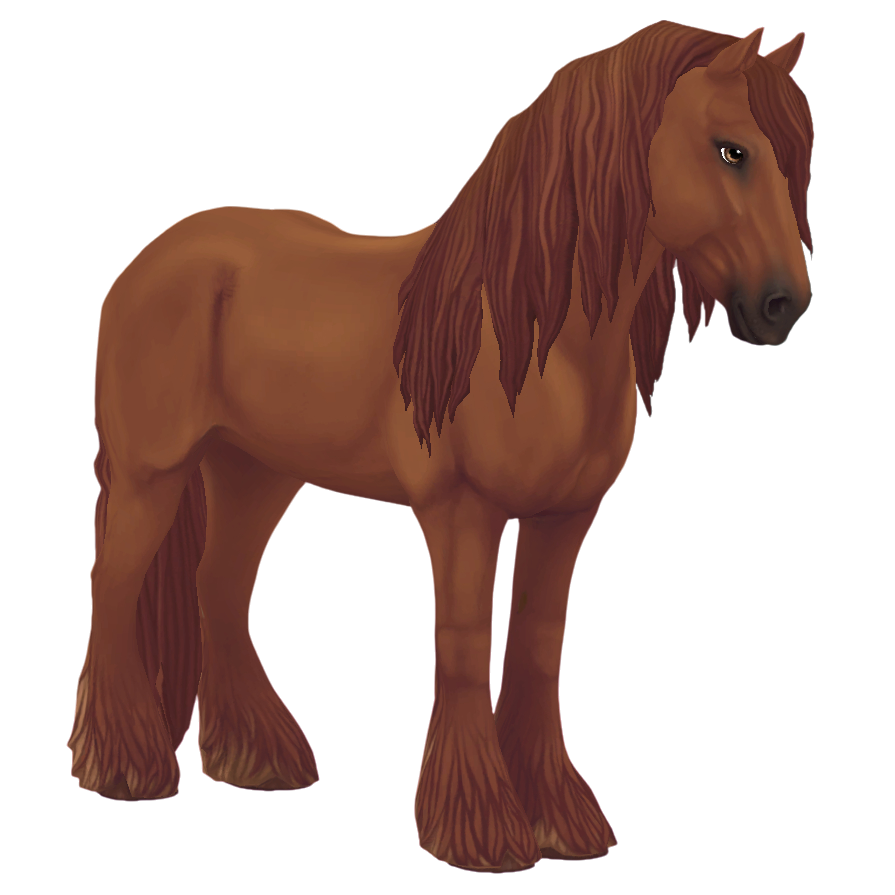 Irish Cob in Star Stable Online