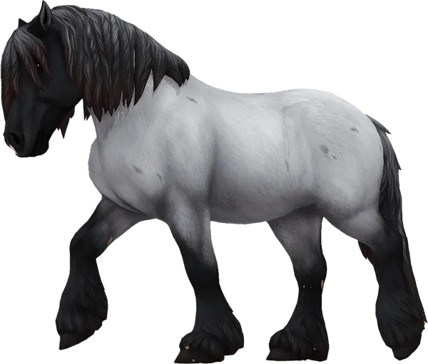 Ardennes, Blue Roan