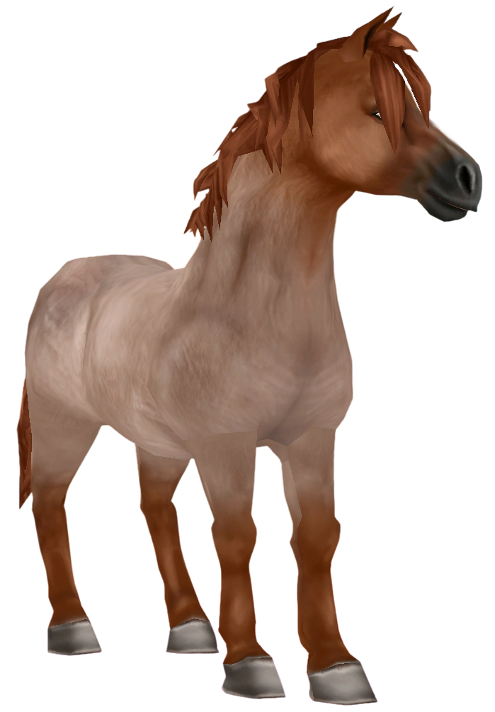 Jorvik Pony in Star Stable Online
