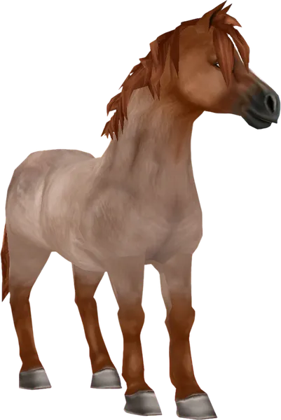 Jorvik Pony, Red Roan