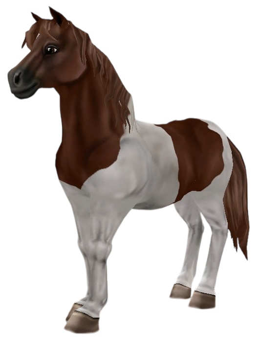Chincoteague Pony in Star Stable Online