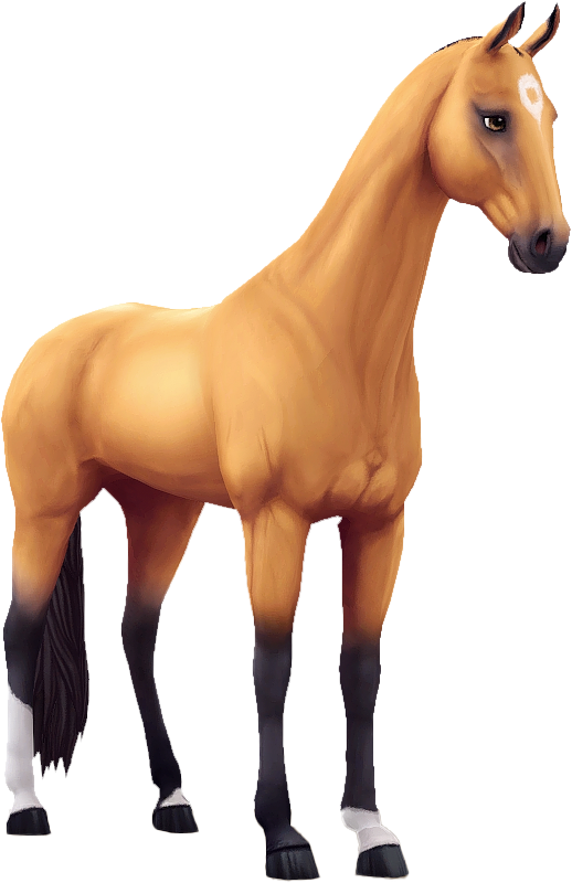 Akhal Teke in Star Stable Online