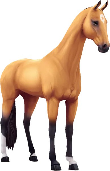 Akhal Teke, Golden Buckskin