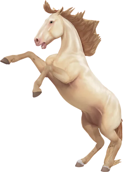 Mustang, Perlino