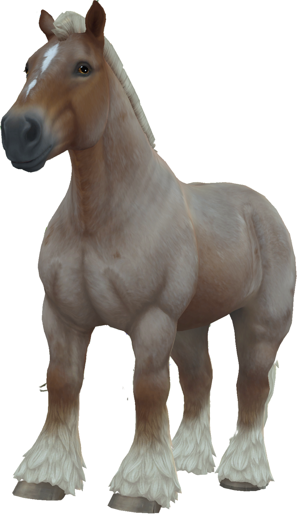 Brabant in Star Stable Online