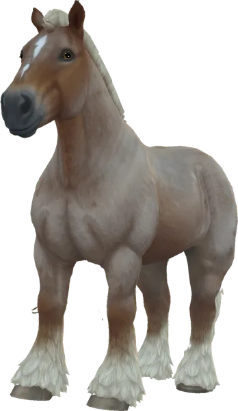Brabant, Flaxen Red Roan