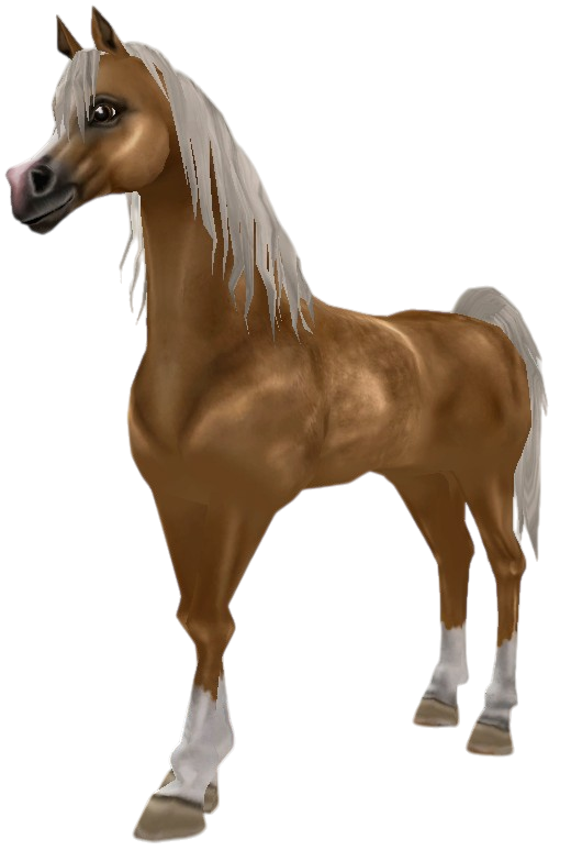 Arabian Thoroughbred in Star Stable Online