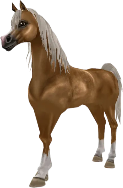 Arabian Thoroughbred, Light Flaxen Chestnut