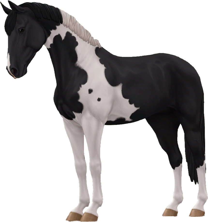 Selle Francais in Star Stable Online