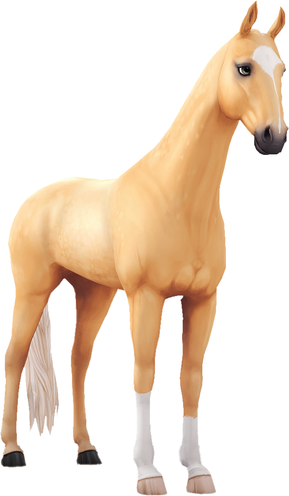 Akhal Teke in Star Stable Online