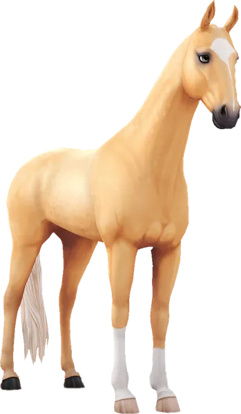 Akhal Teke, Palomino