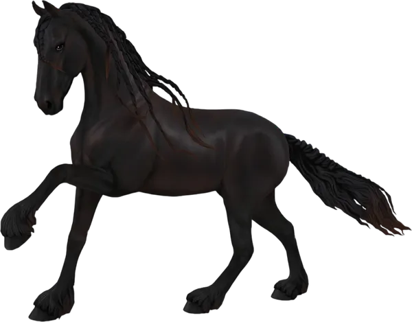 Friesian, Bleached Black