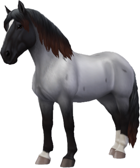 Noriker in Star Stable Online