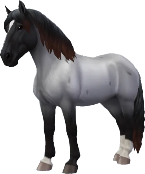 Noriker, Blue Roan