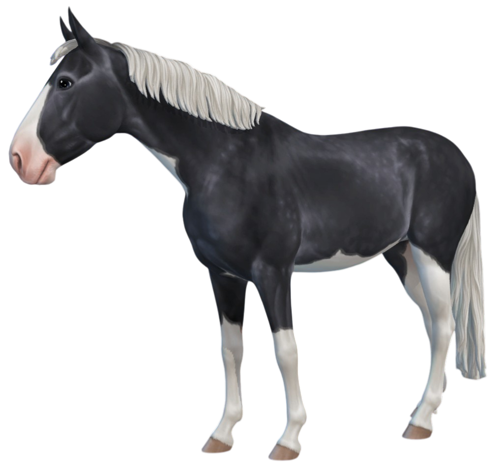 Swedish Warmblood in Star Stable Online