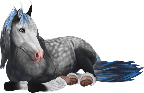 Jorvik Wild Horse, Sapphire Dapple Gray