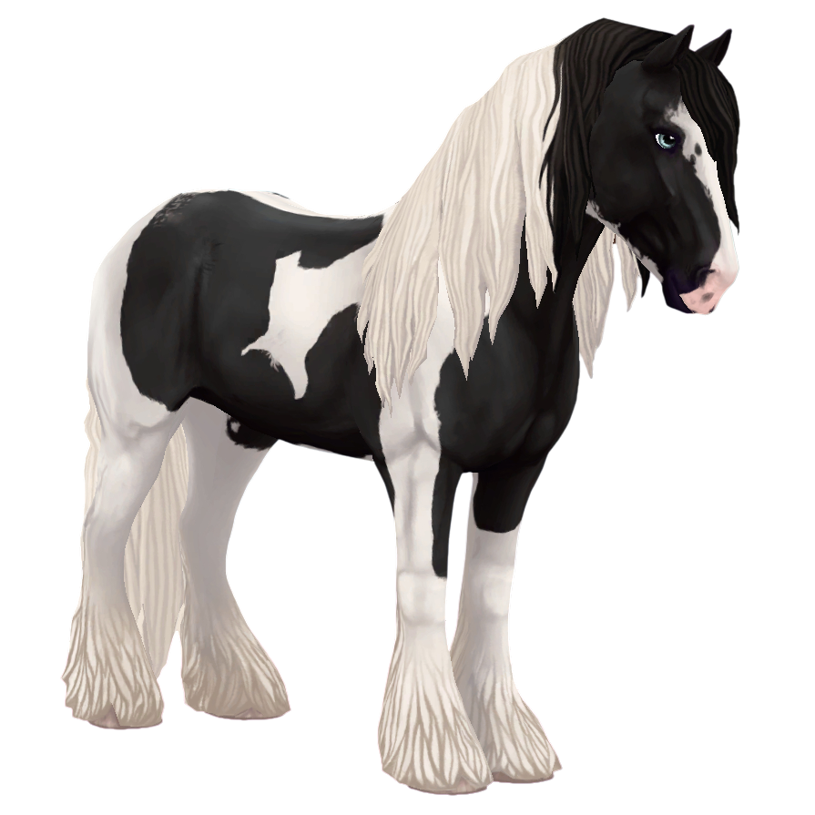 Irish Cob in Star Stable Online