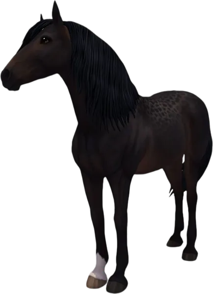 Paso Fino, Seal Brown Reverse Dapple