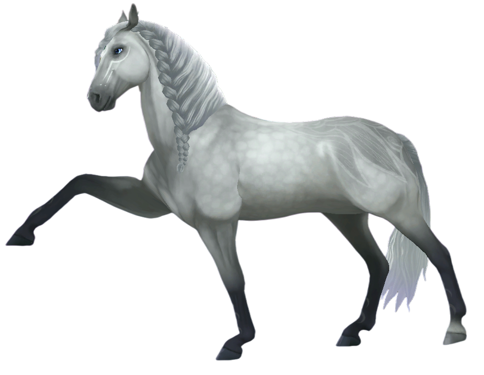 Jorvik Andalusian in Star Stable Online