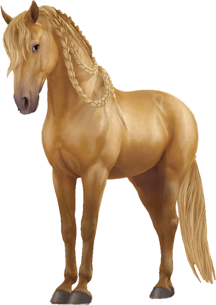 Andalusian, Red Pearl
